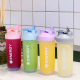 Plastic Bottle 700 ml